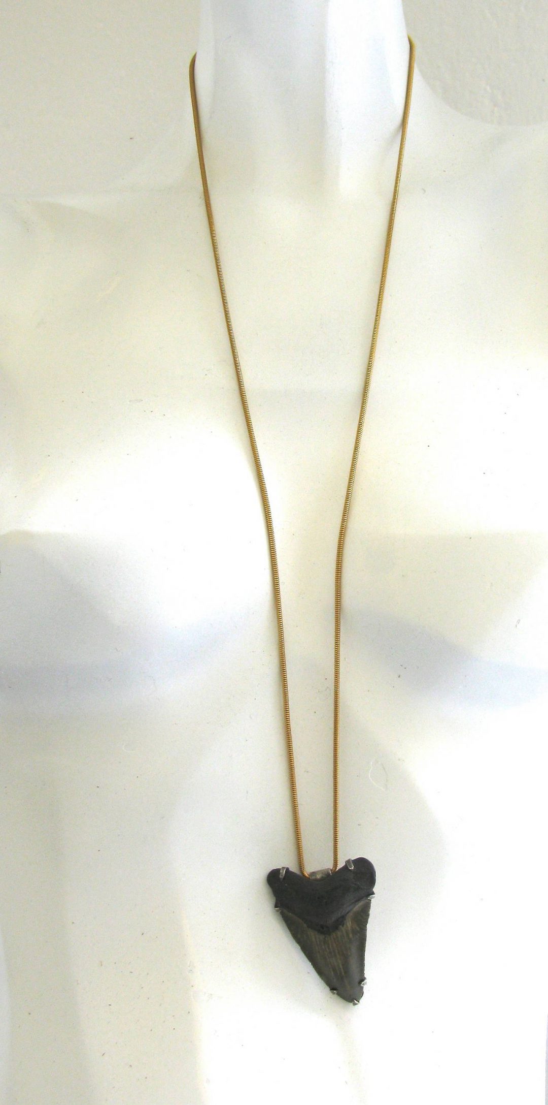 An Ancient Megalodon Sharks-tooth Pendant - Image 3