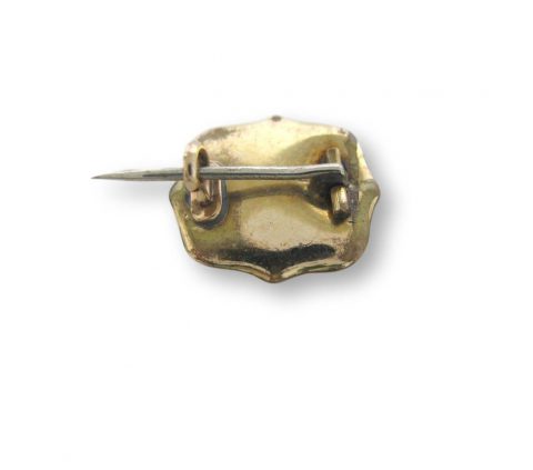 Diminutive Lovers Eye Pin 19th Century - Kimberly Klosterman Jewelry